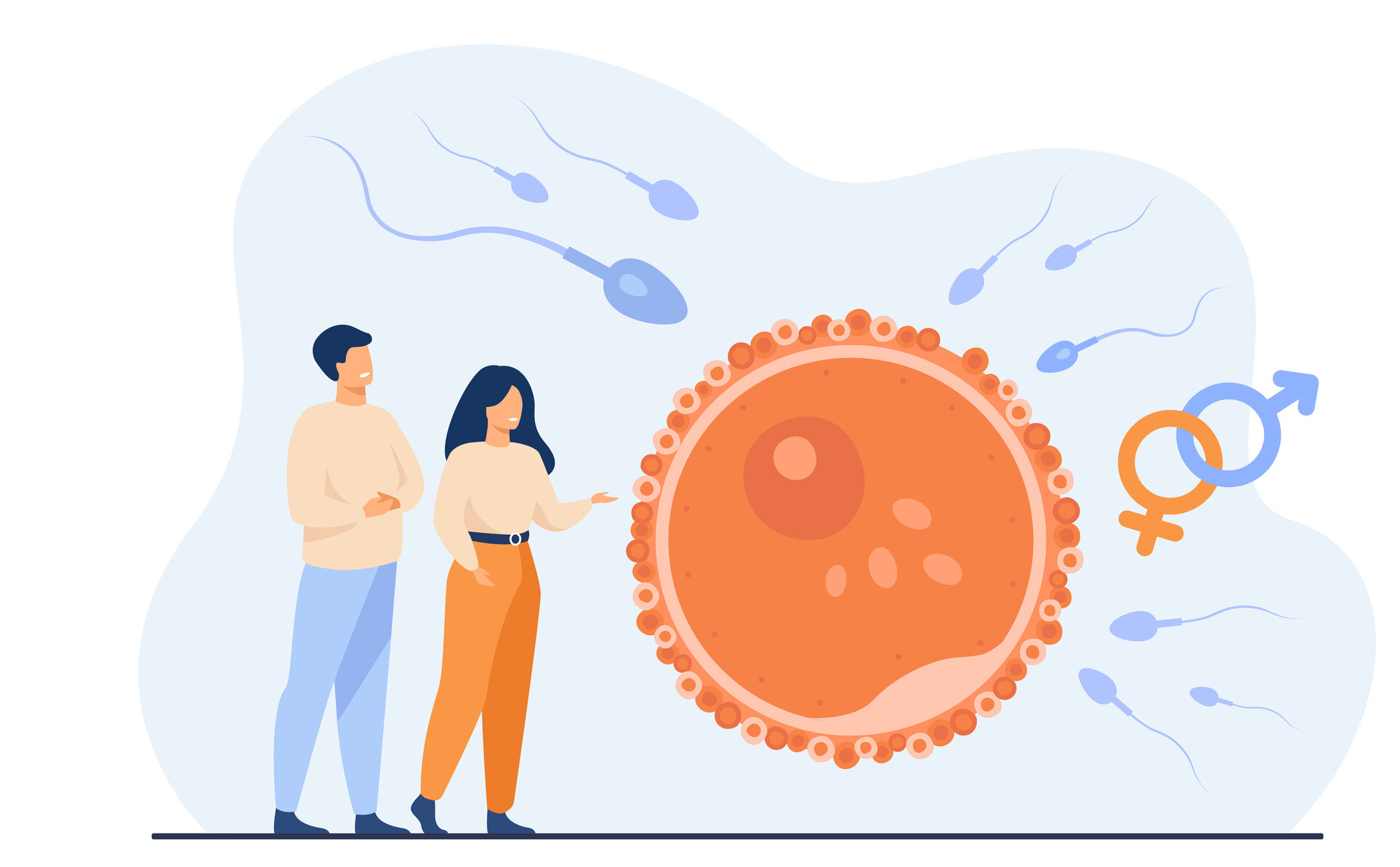 Fertility EMR Fertility EMR