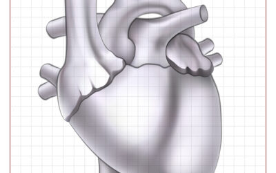 Cardiology EMR Training Guide