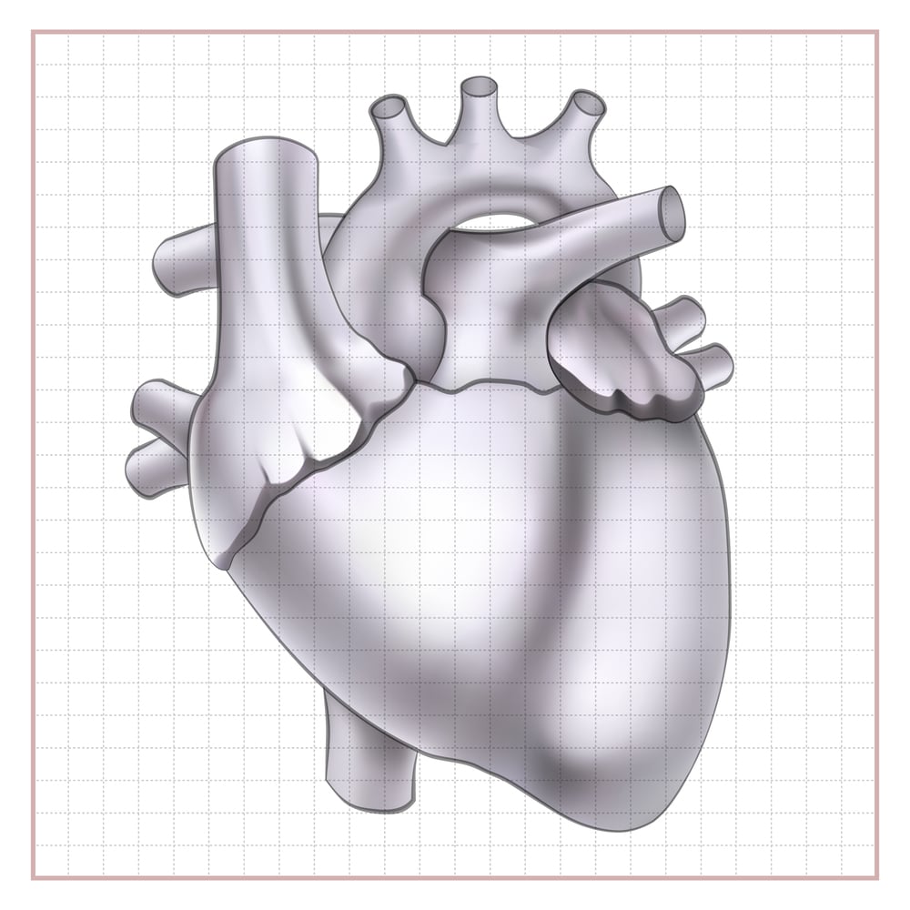 Cardiology EHR Training